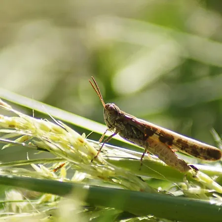 Bed & Breakfast La 4*