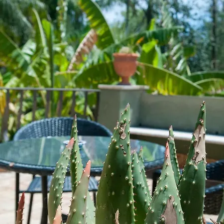 Bed and Breakfast La