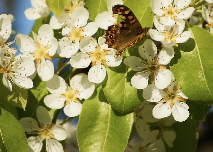 La Bed and breakfast Giardini-Naxos