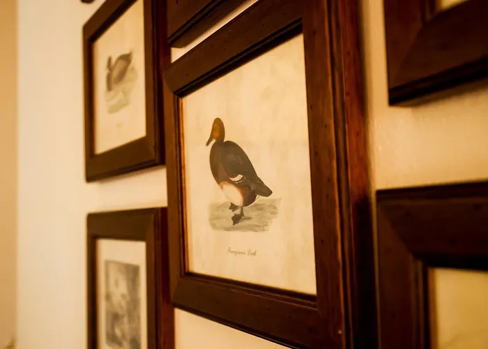 Bed and breakfast La