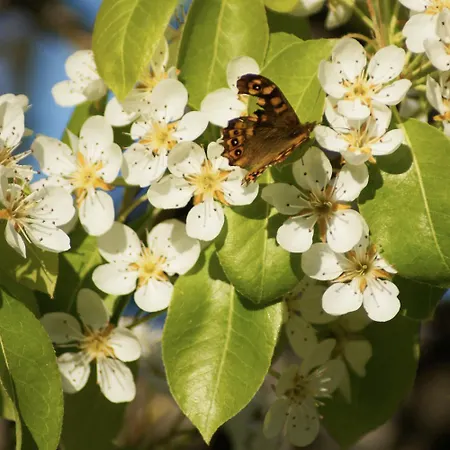 La Отель типа 