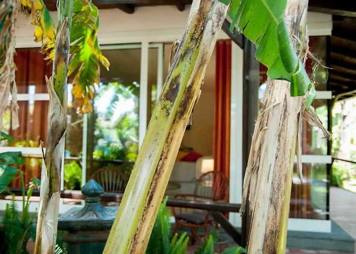 La 住宿加早餐酒店 4*